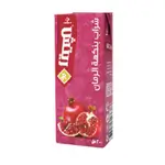 Rich Juice Pomegrante 200ml